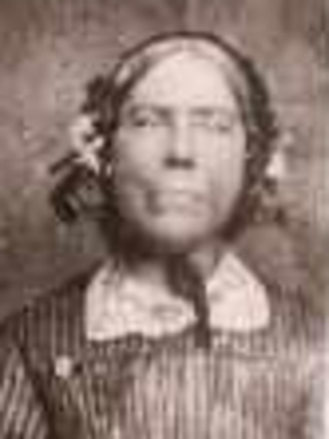 Elizabeth Agnes Nicholson (1807 - 1890) Profile